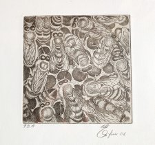 Elia Rifesser, Biene, incisione all'acquaforte, 25 x 25 cm (solo l'immagine)