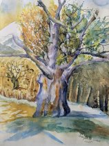 Margareth Gasser - Fest und stark verwurzelt, in Aquarelltechnik, Größe des Bildes 32x 25, mit Rahmen, Tel.320/6480268 E Mail: margarethmarsoner56@gmail.com